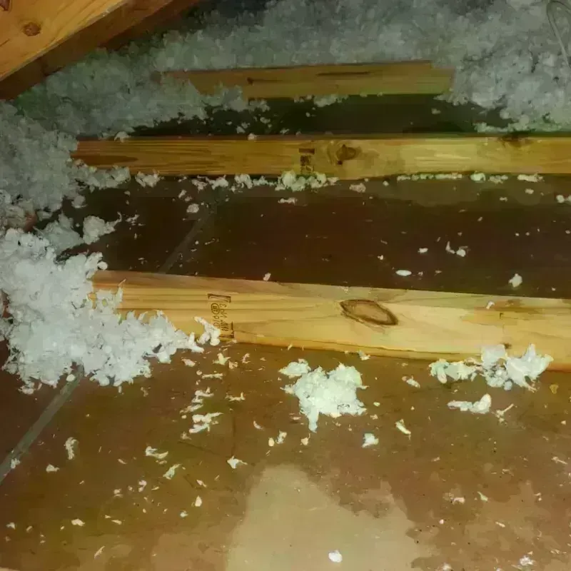 Attic Water Damage in Montrose, MN