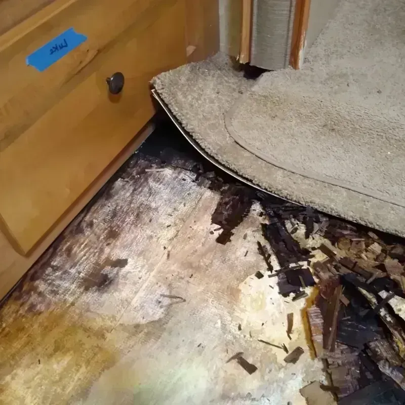 Wood Floor Water Damage in Montrose, MN